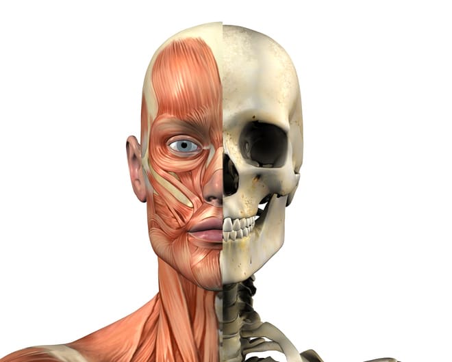 Rééducation maxillo-faciale