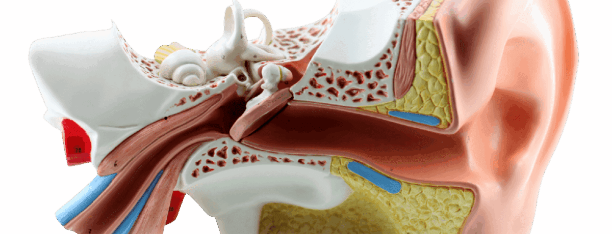 Rééducation tubaire