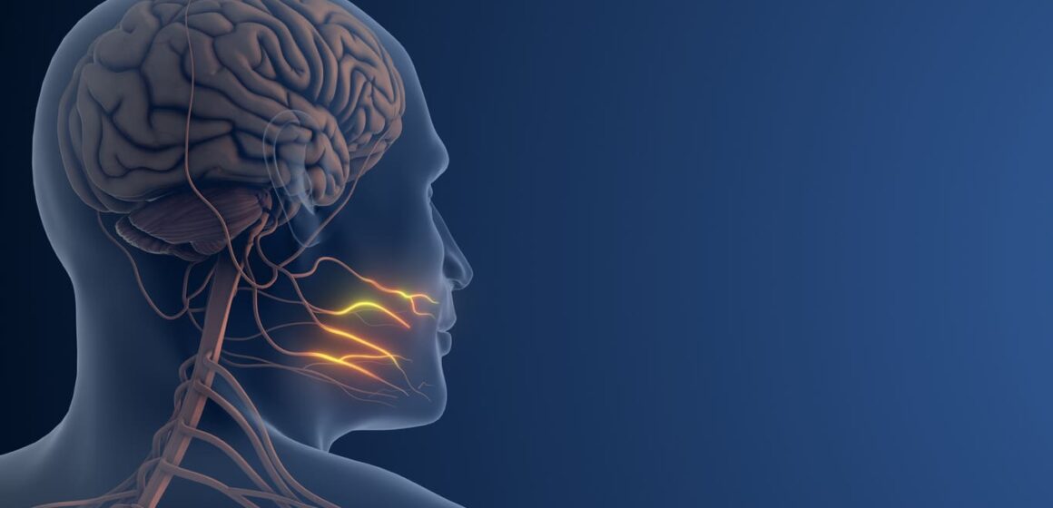 formation-fknl-kine-kinesitherapeute-nancy-lorraine