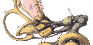 Efficacité de la rééducation vestibulaire utilisant un paradigme de rotation unidirectionnelle dans l&rsquo;asymétrie du réflexe vestibulo-oculaire : revue systématique et méta-analyse